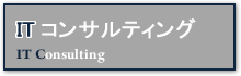 ＩＴコンサルティング 