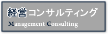 経営コンサルティング