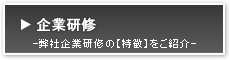 企業研修