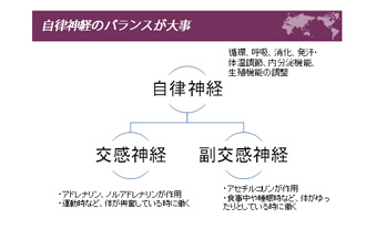 コンテンツイメージ